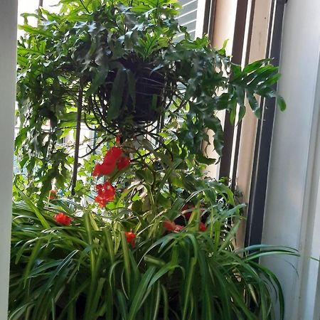 City Break House Salerno Exterior foto